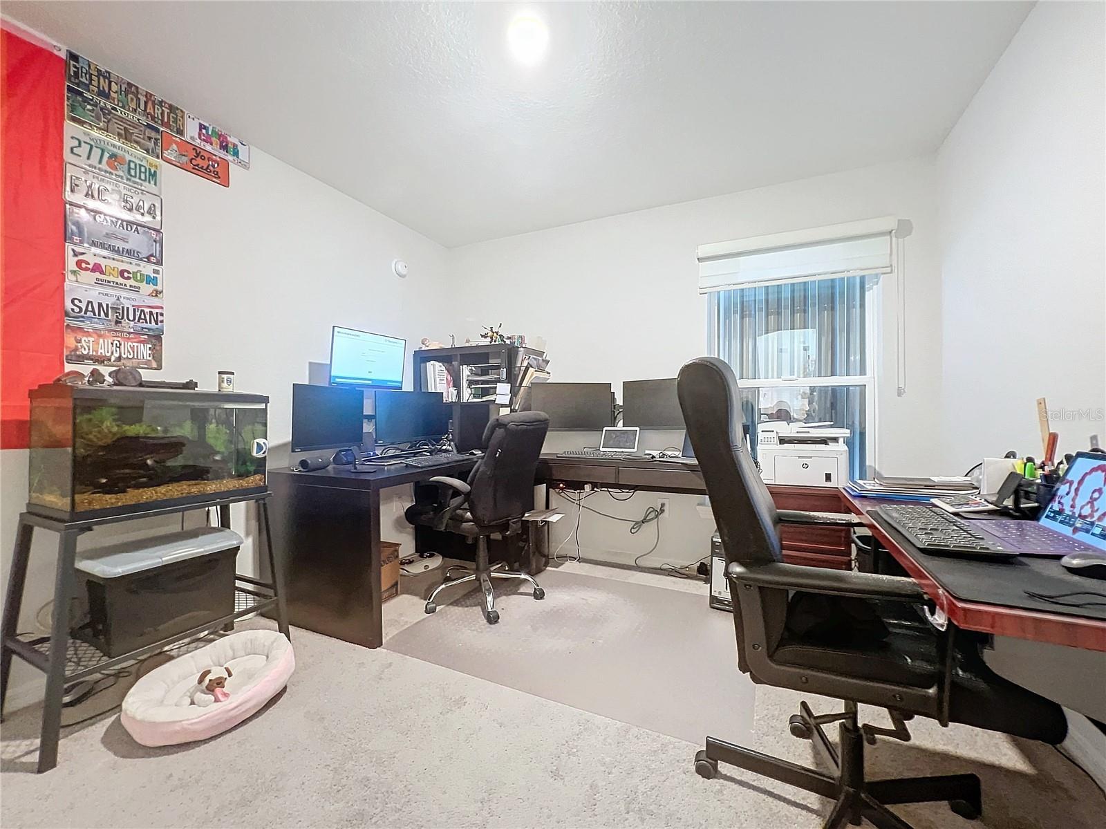 Image 13 of 15 For 2027 Dexter Street