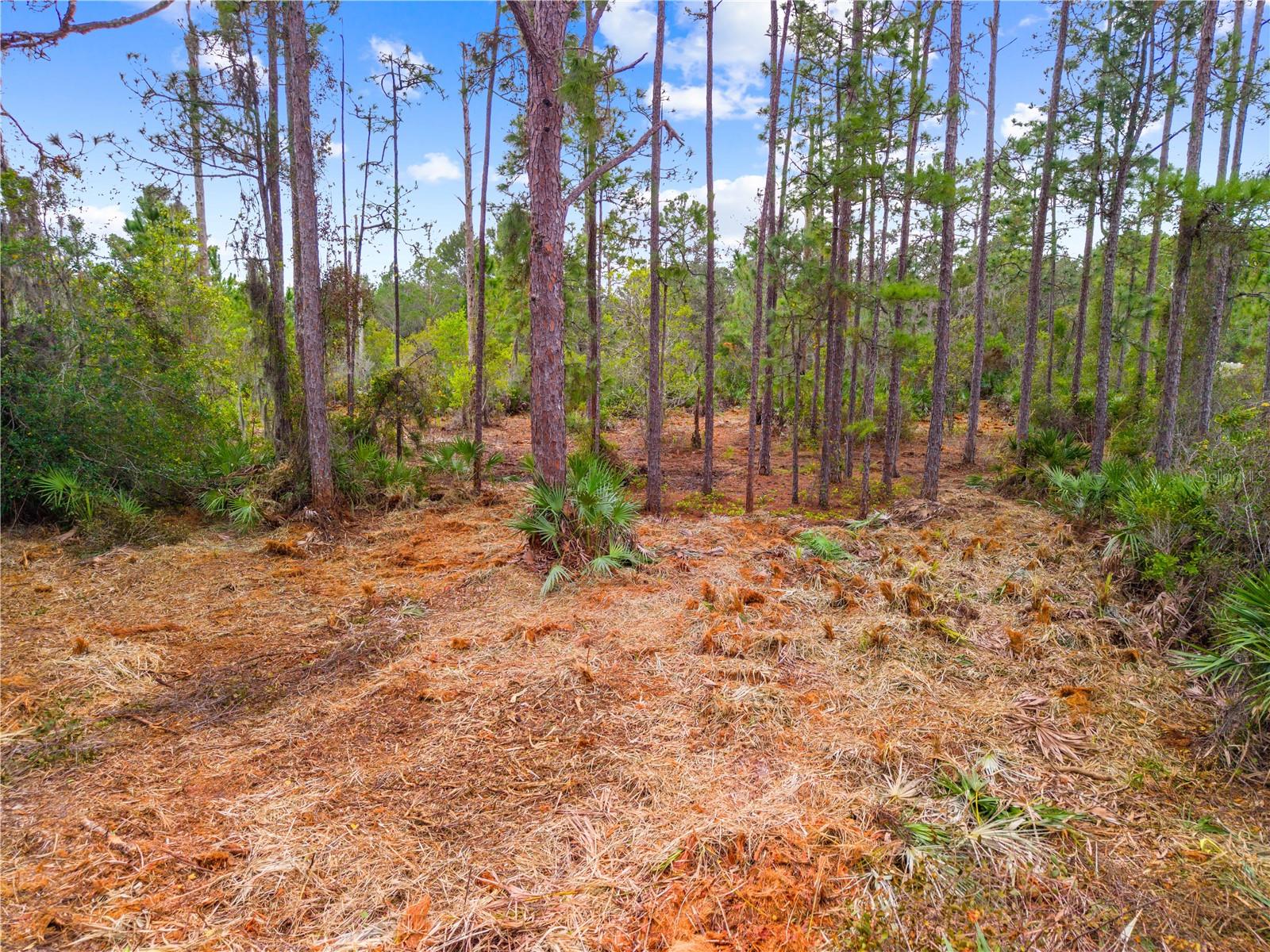 Image 11 of 12 For 0 Dease Road