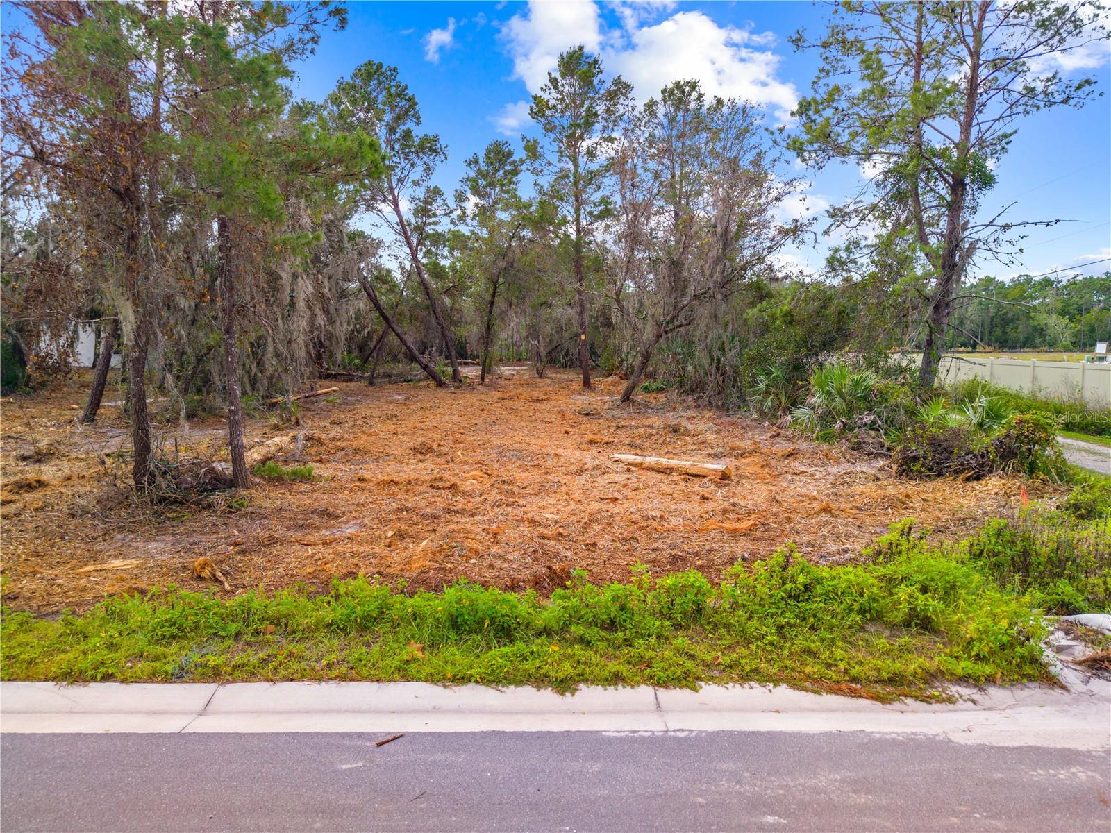 Image 12 of 12 For 0 Dease Road