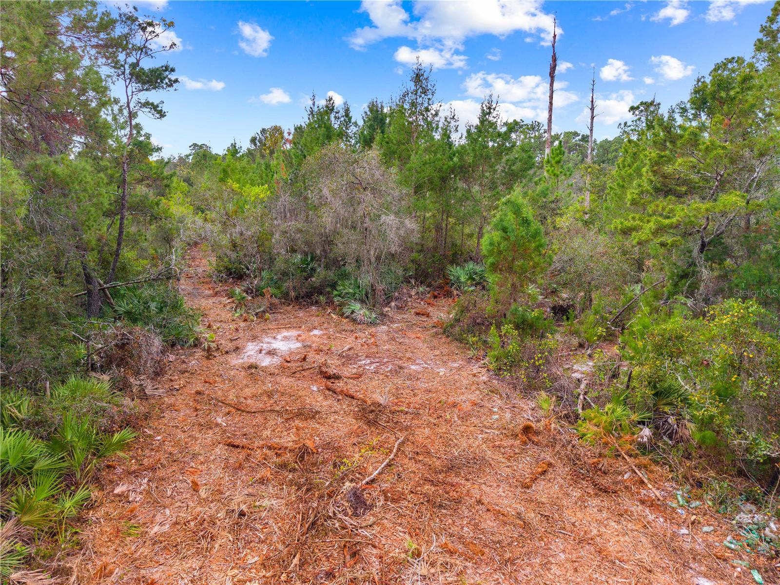 Image 9 of 12 For 0 Dease Road