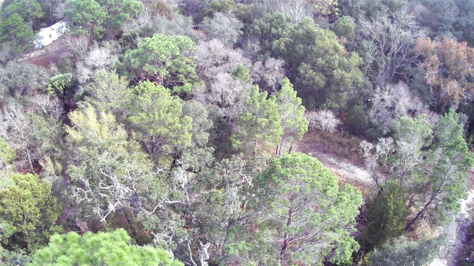 Image 6 of 11 For 12070 Seely Lane