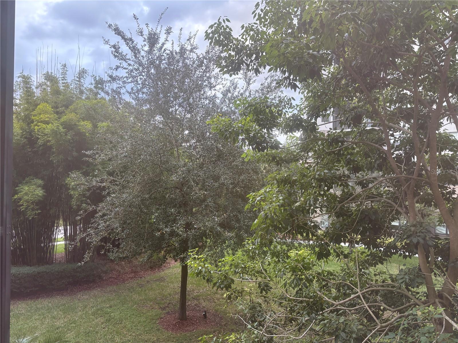 Image 12 of 34 For 14501 Grove Resort Avenue 3230