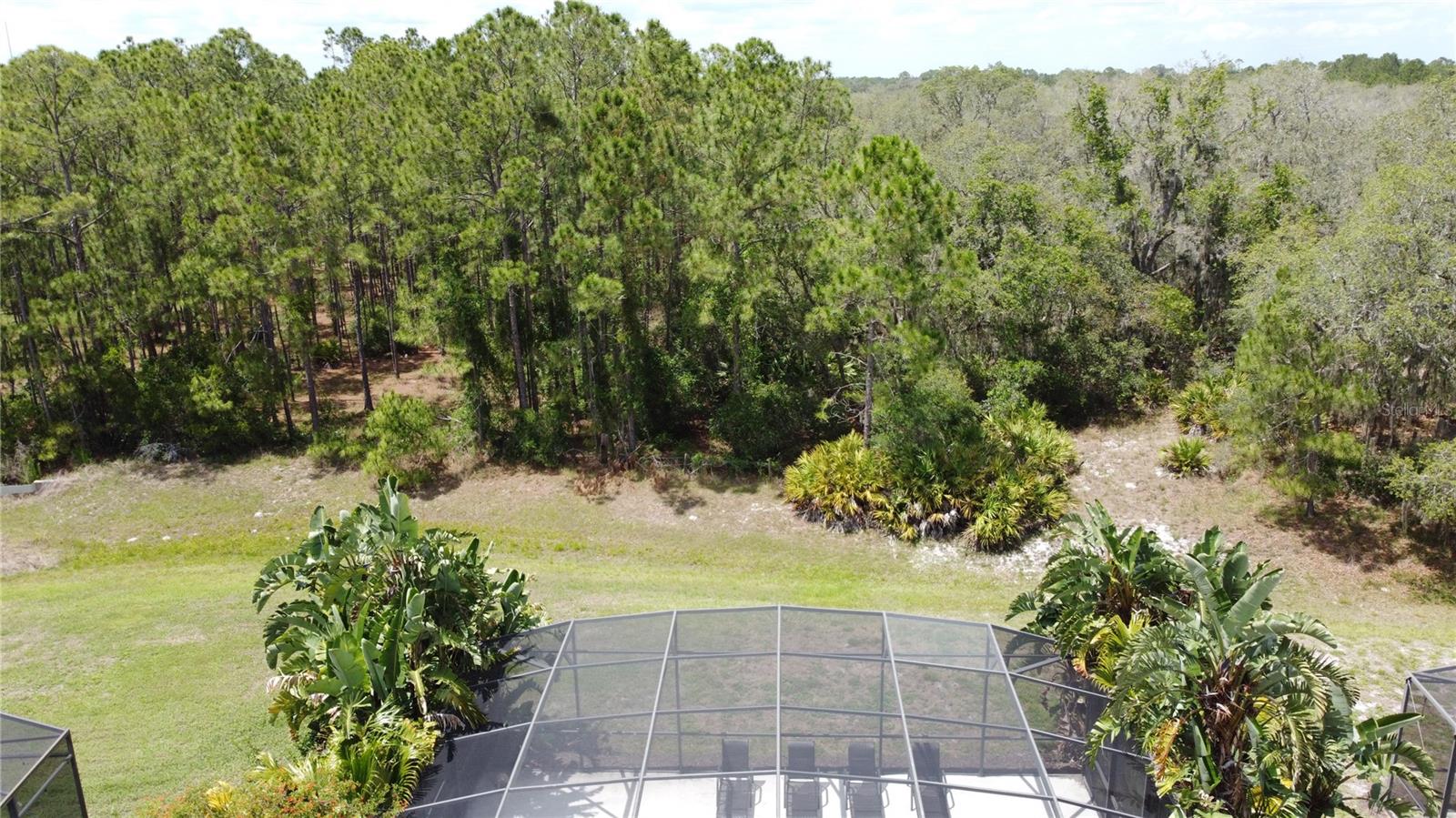 Image 75 of 93 For 394 Orange Cosmos Boulevard