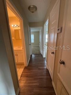 Image 19 of 42 For 9916 Sweepstakes Lane Ge