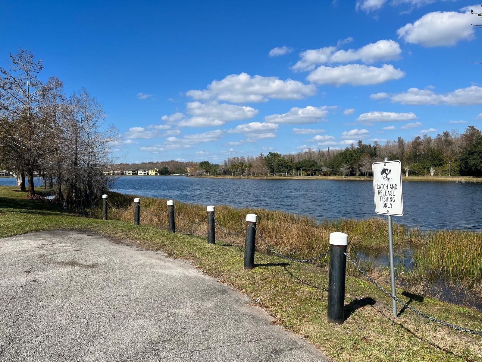 Image 25 of 38 For 10258 Lake District Lane