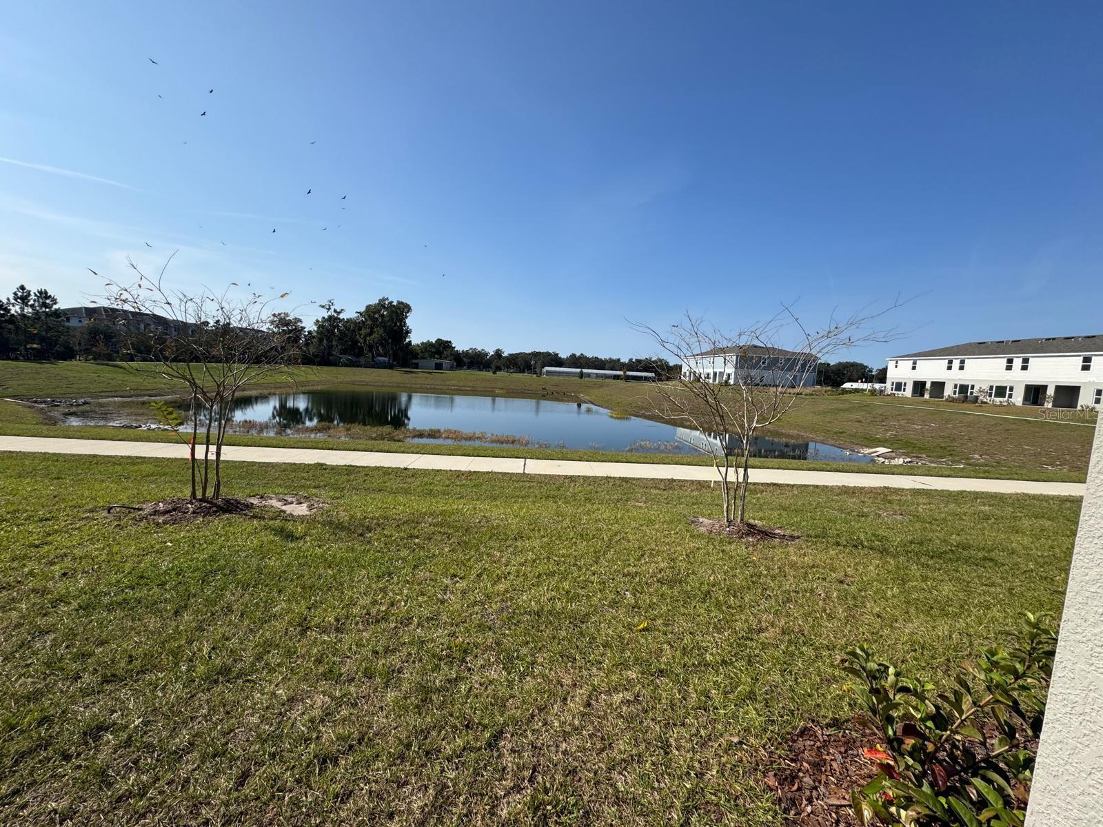 Image 21 of 24 For 362 Thompson Village Avenue