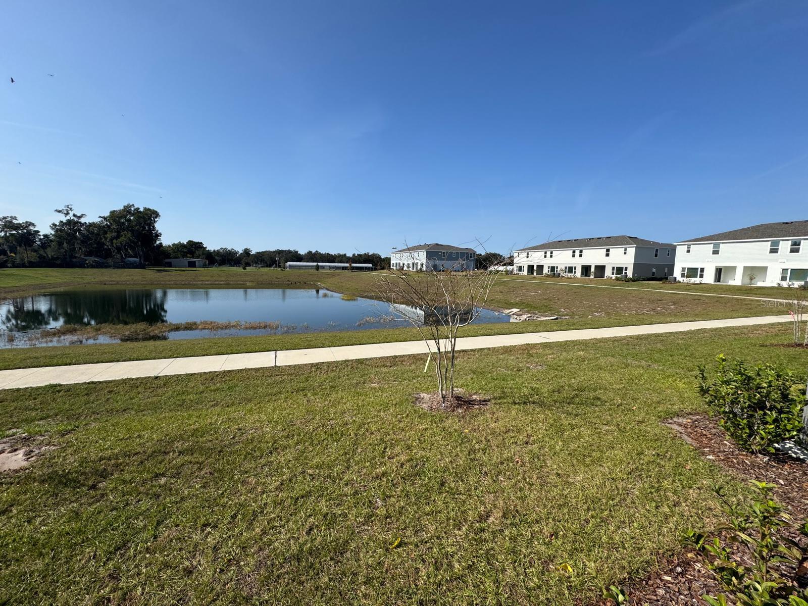 Image 22 of 24 For 362 Thompson Village Avenue