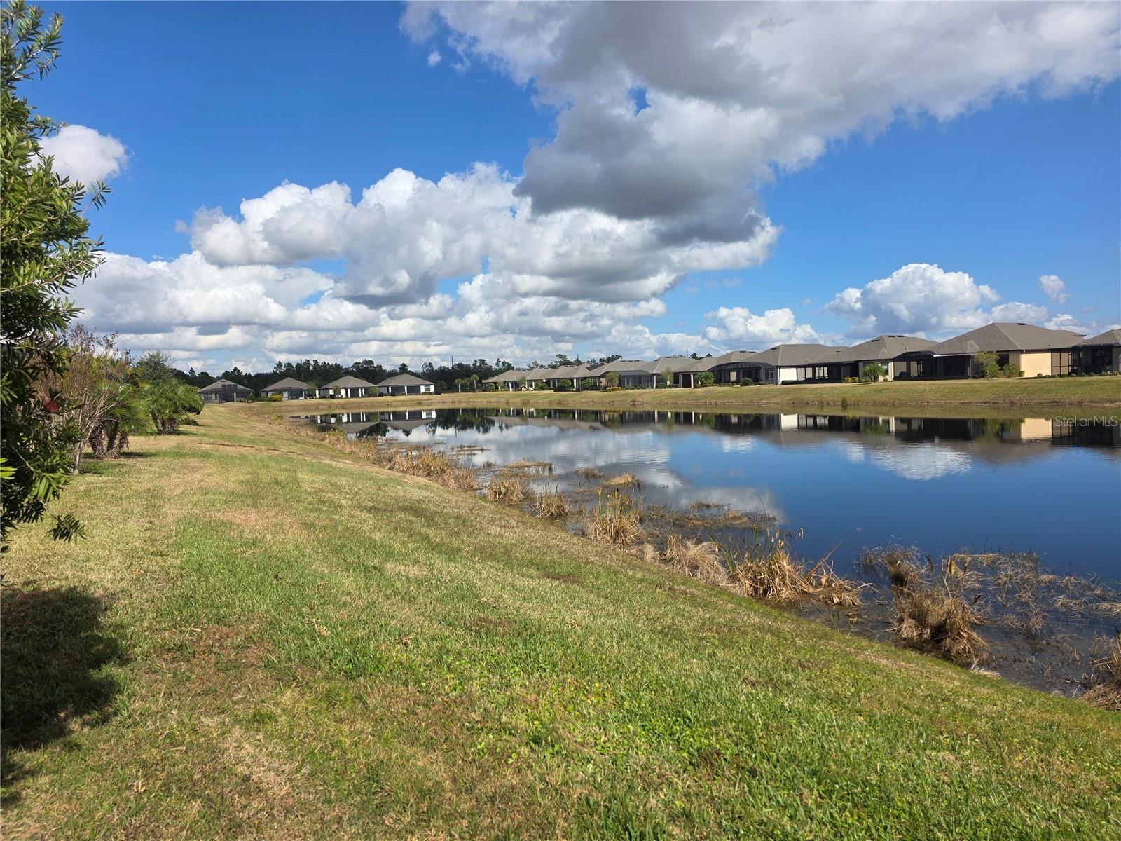 Image 38 of 47 For 356 Bella Cortina Drive