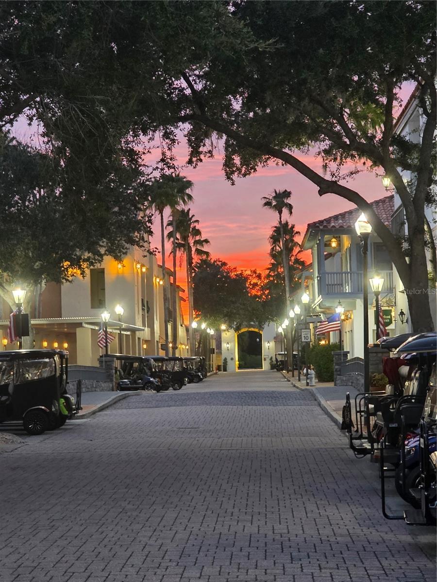 Image 43 of 47 For 356 Bella Cortina Drive