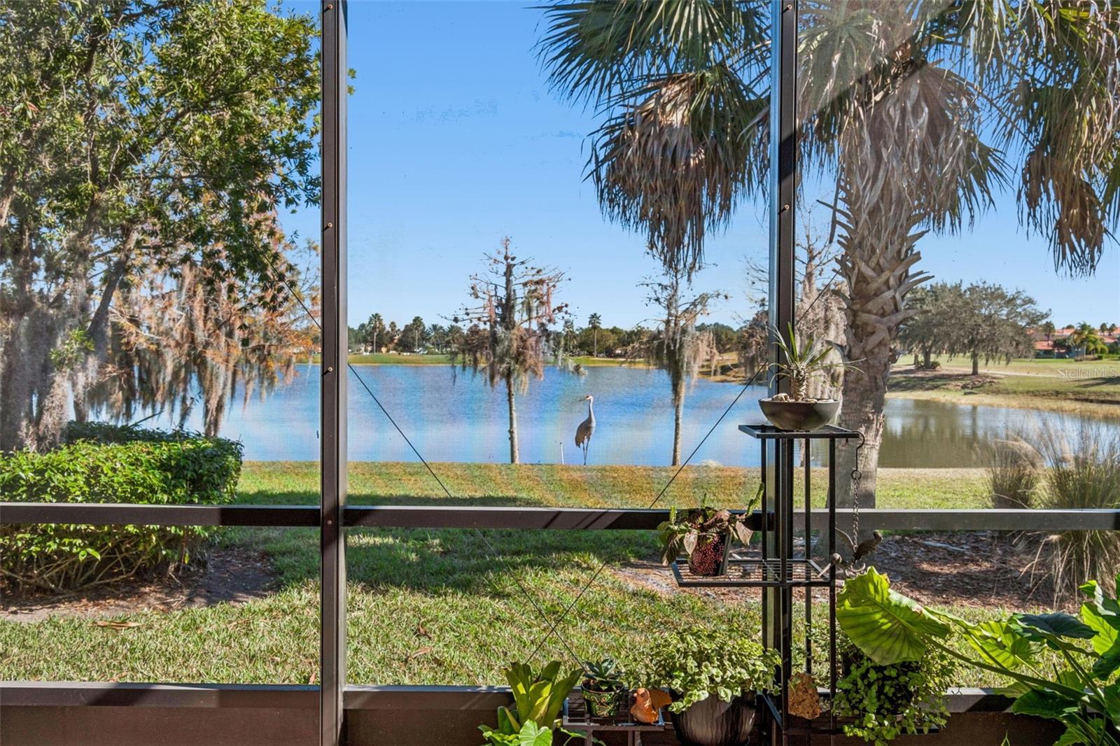 Image 36 of 60 For 2376 Palm Tree Drive