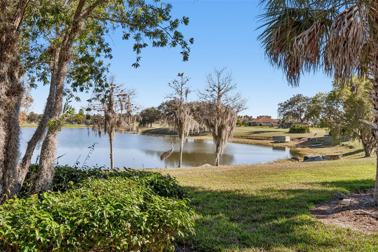 Image 39 of 60 For 2376 Palm Tree Drive