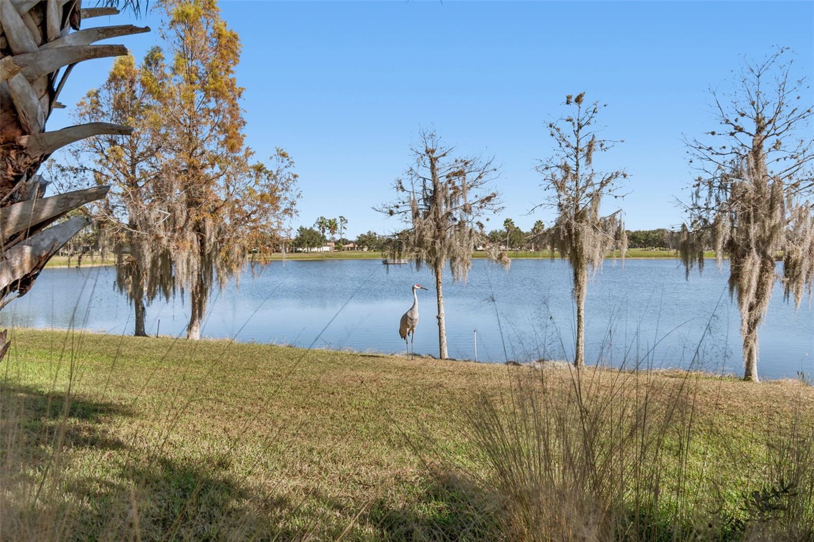 Image 40 of 60 For 2376 Palm Tree Drive