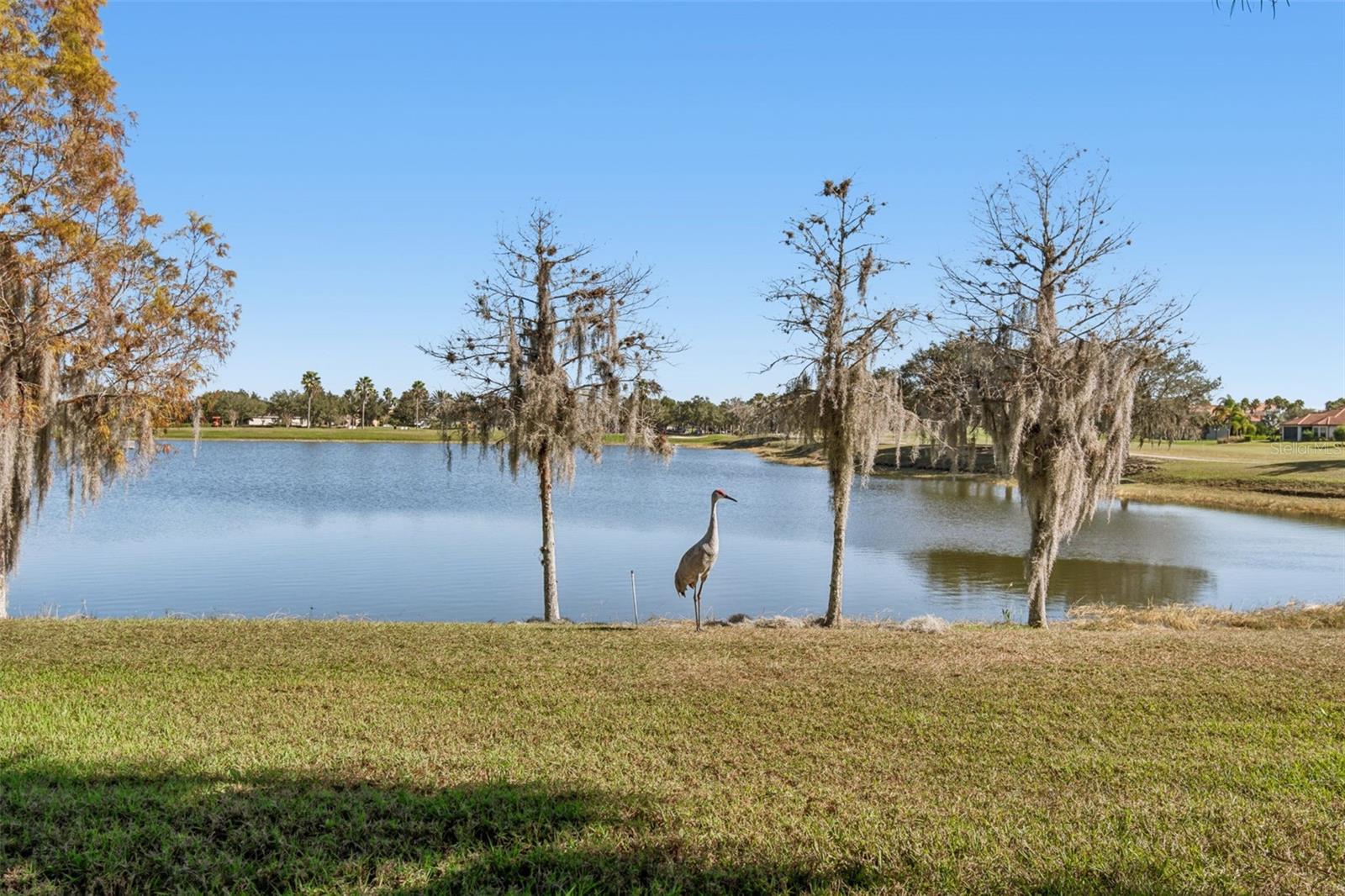 Image 8 of 60 For 2376 Palm Tree Drive