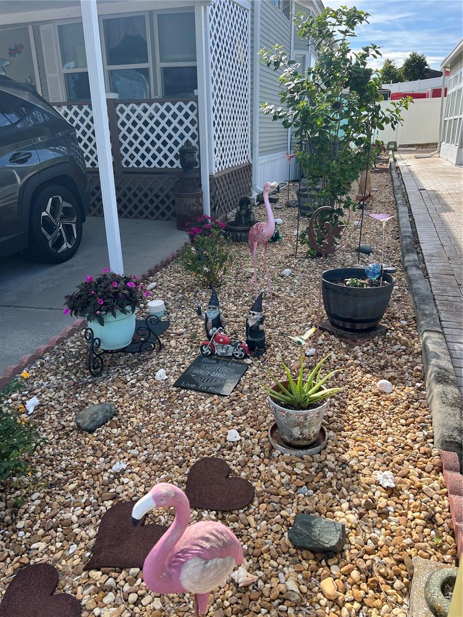 Image 7 of 31 For 443 Pansy Street