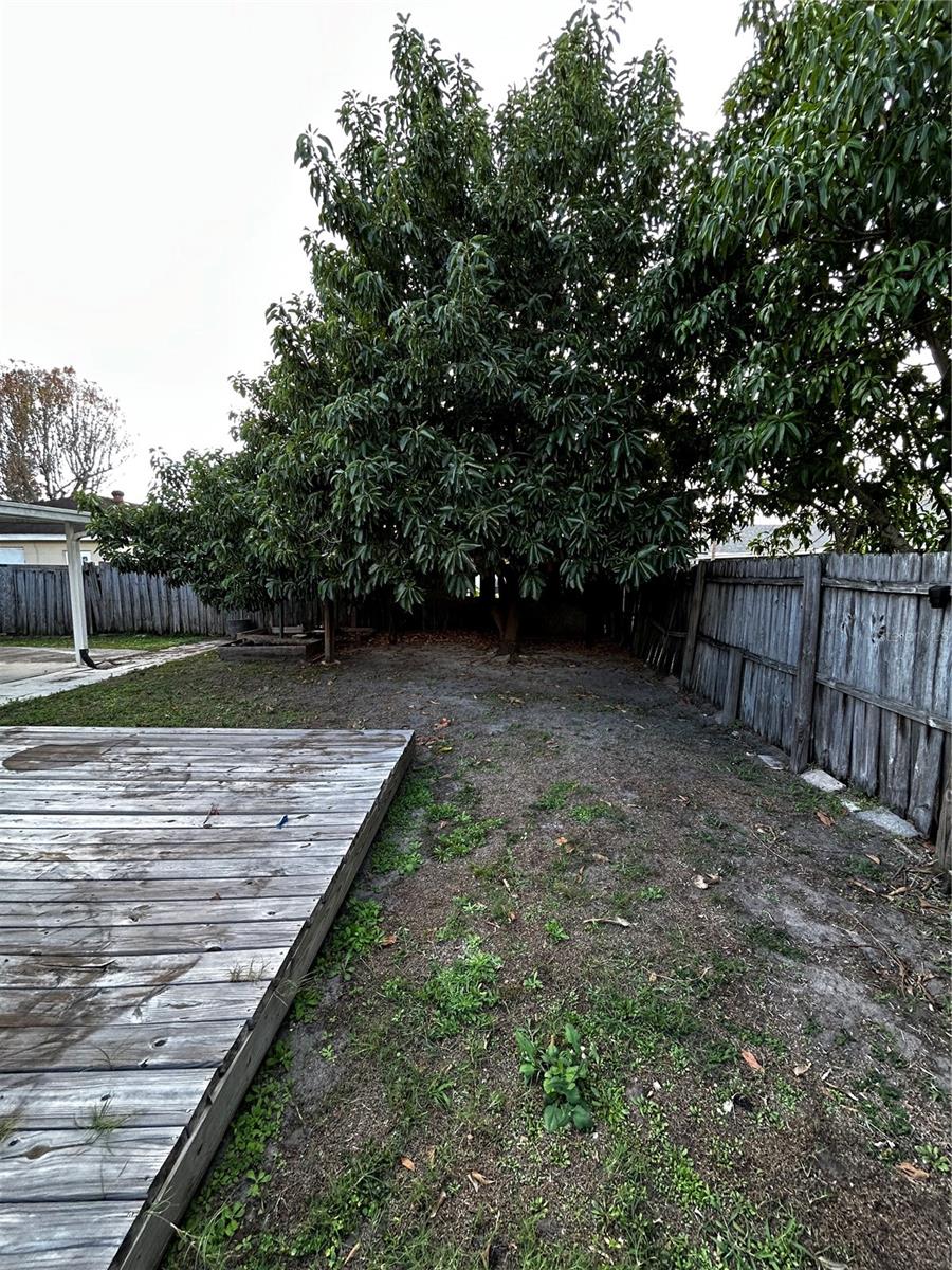 Image 19 of 65 For 12104 Florida Woods Lane