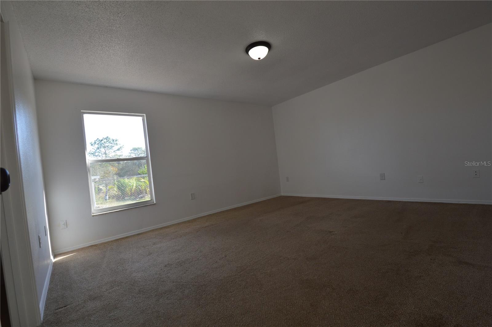 Image 13 of 28 For 125 Conch Drive