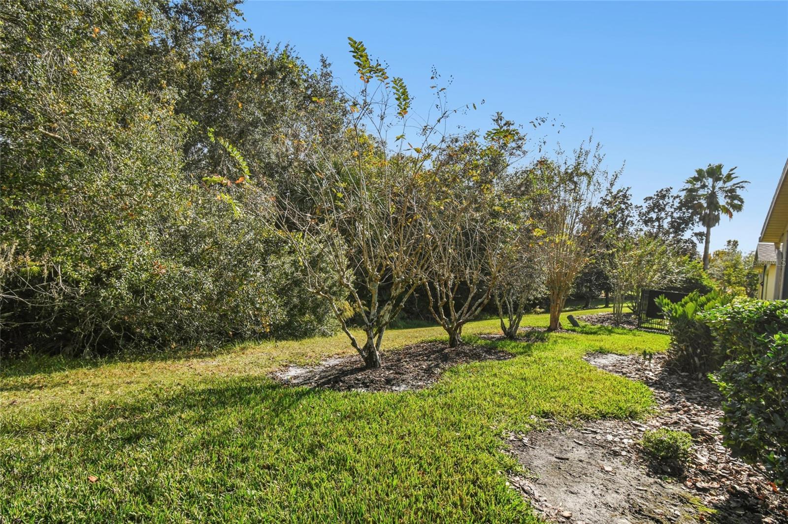 Image 35 of 52 For 513 Vineyard Way