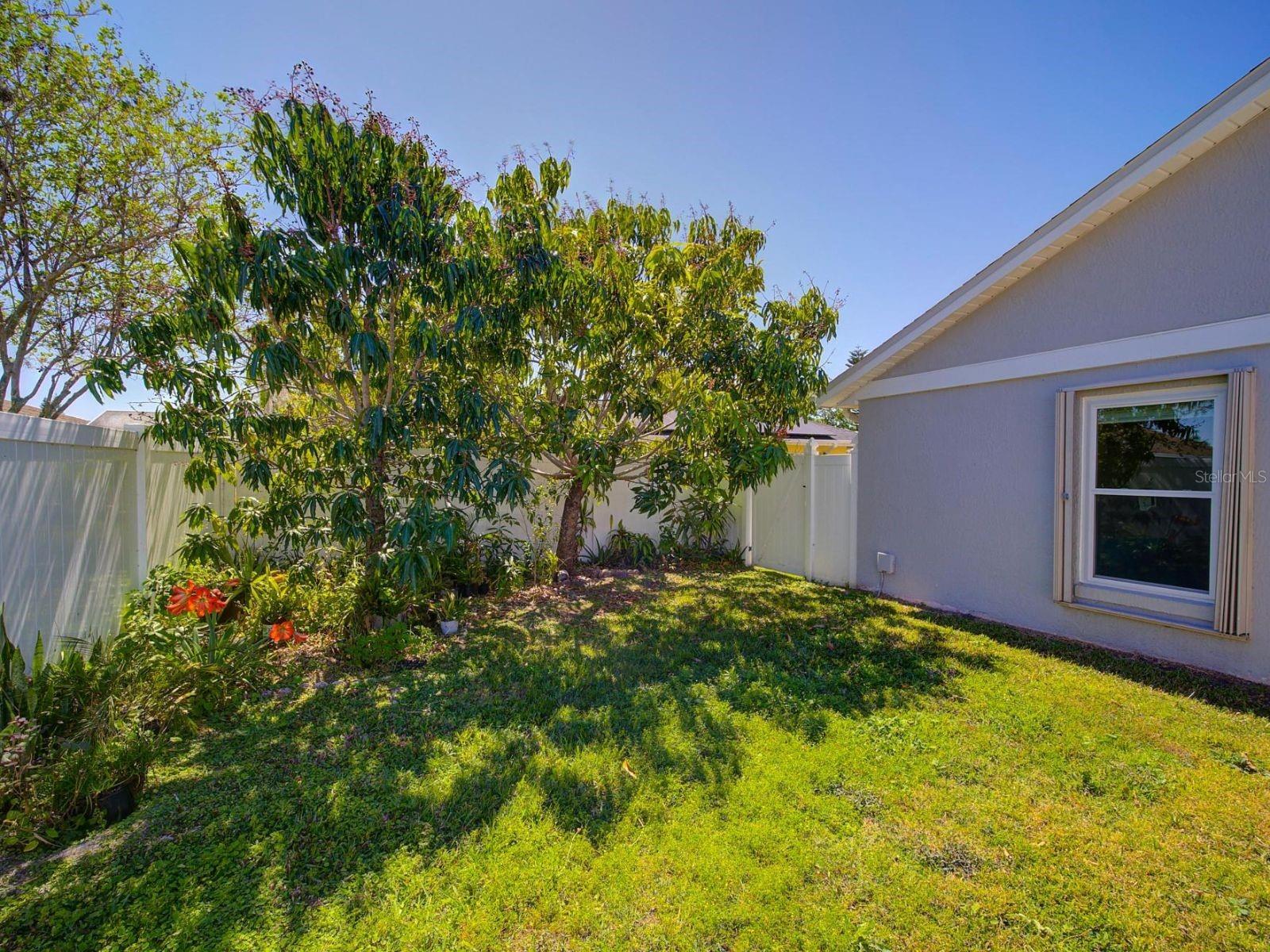 Image 19 of 44 For 14901 Wild Wood Lily Court