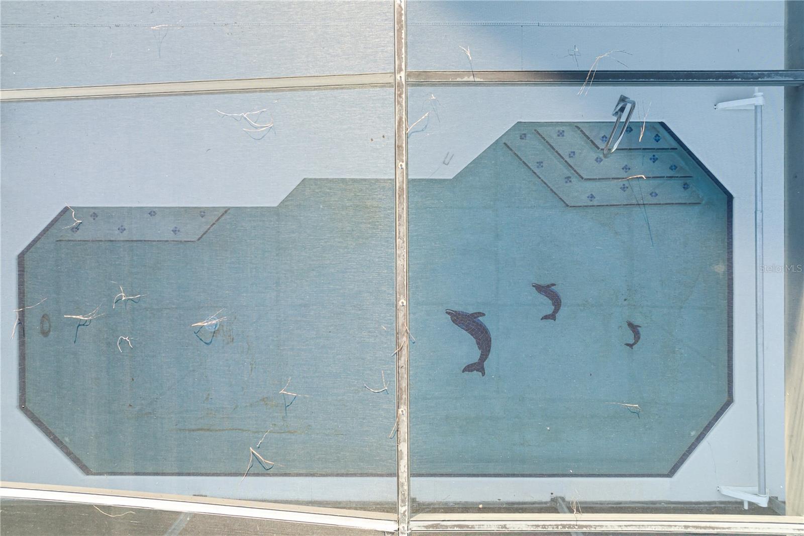 Image 39 of 50 For 8204 Fan Palm Way