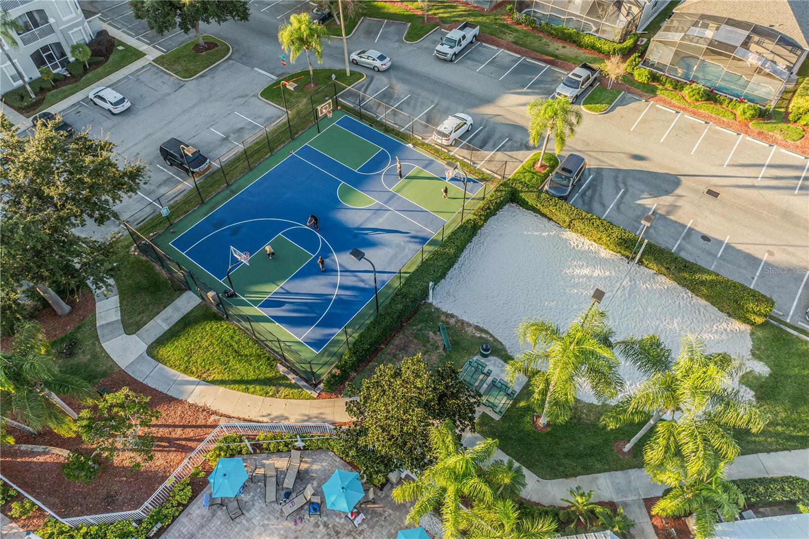 Image 50 of 50 For 8204 Fan Palm Way