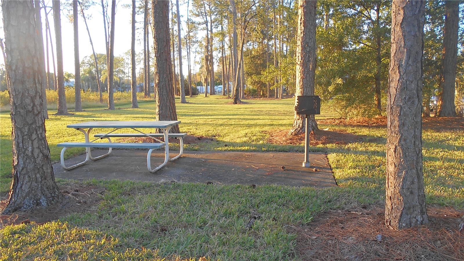 Image 22 of 26 For 50989 Highway 27  108