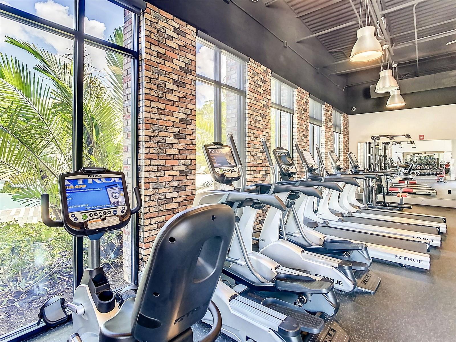 Image 61 of 77 For 832 Longboat Drive