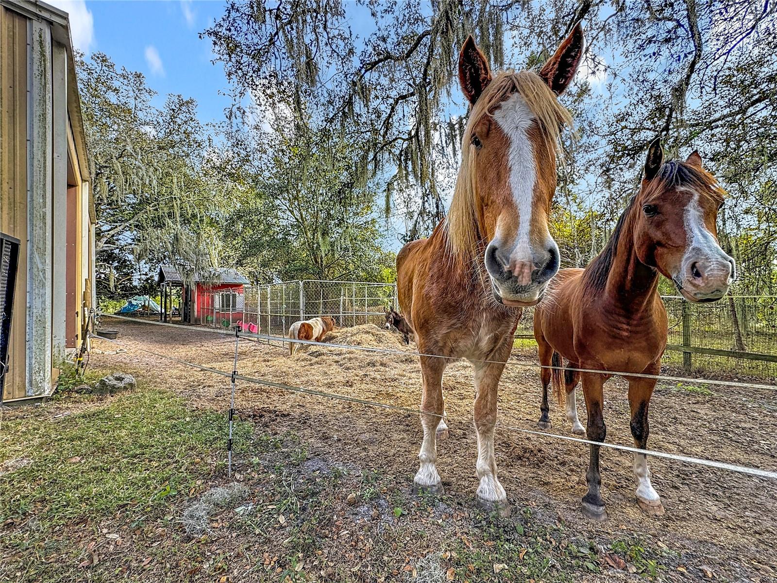 Image 54 of 54 For 4295 Rambler Avenue