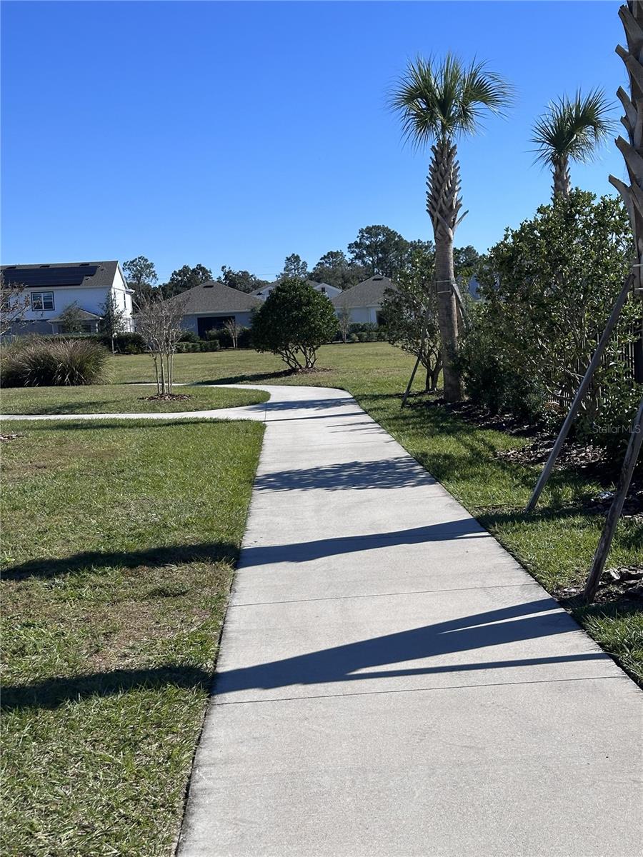 Image 56 of 63 For 2059 Iorio Street