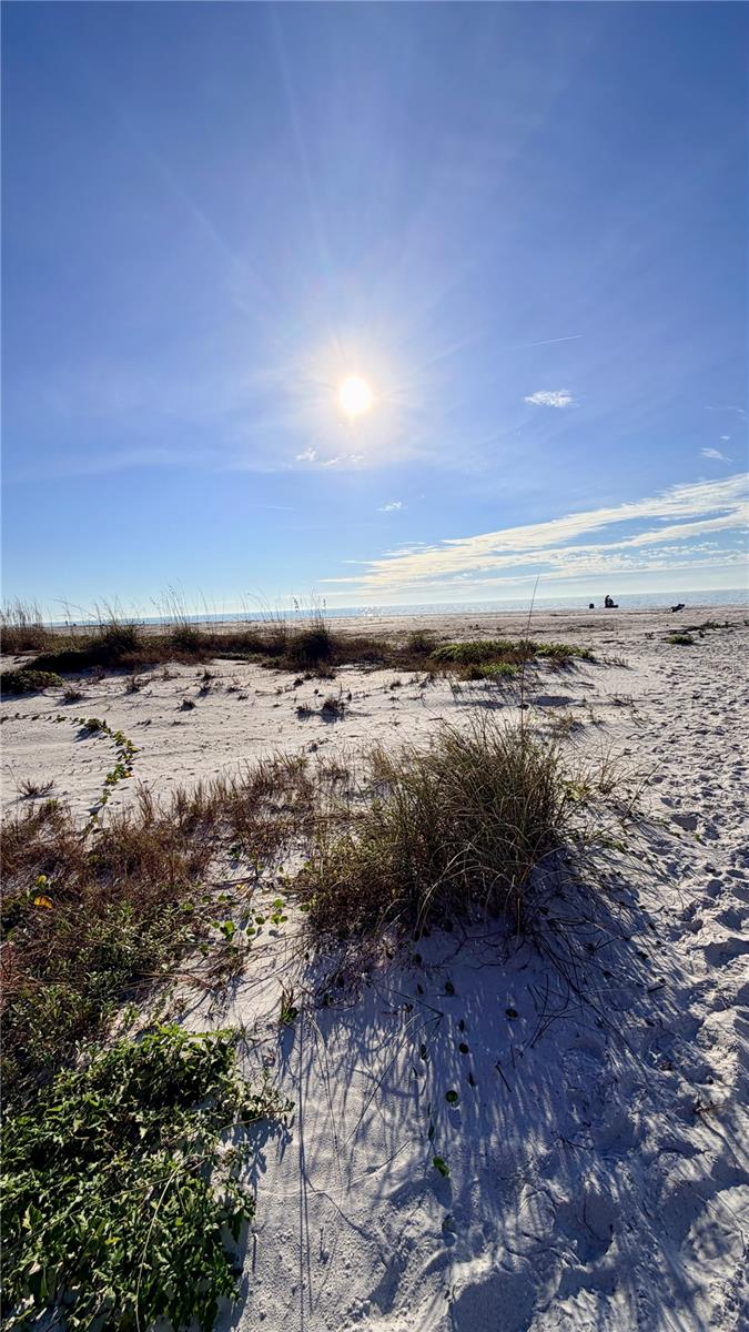 Image 61 of 62 For 880 Mandalay Avenue C501