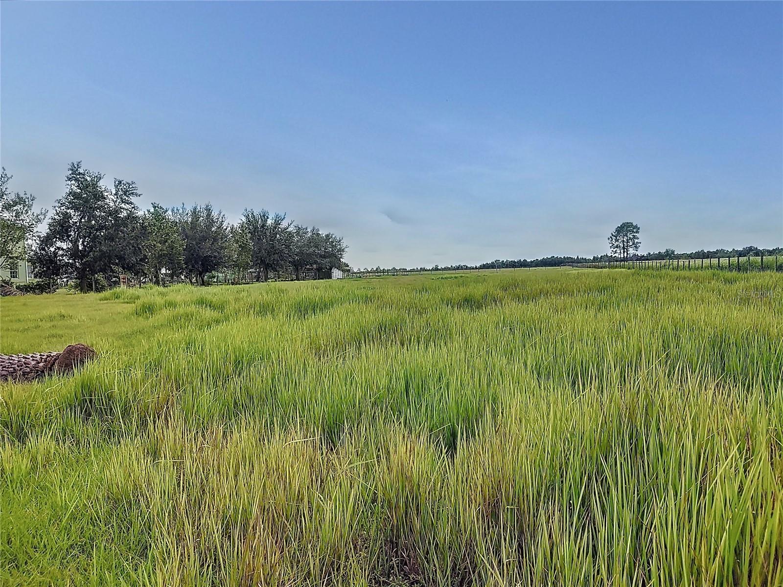 Image 42 of 50 For 3820 Brooke Lakes Drive