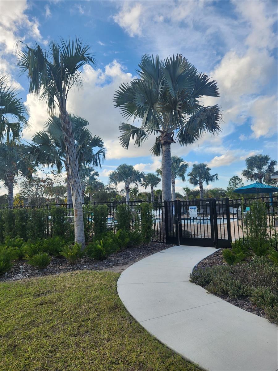 Image 38 of 52 For 3023 Sanctuary Drive