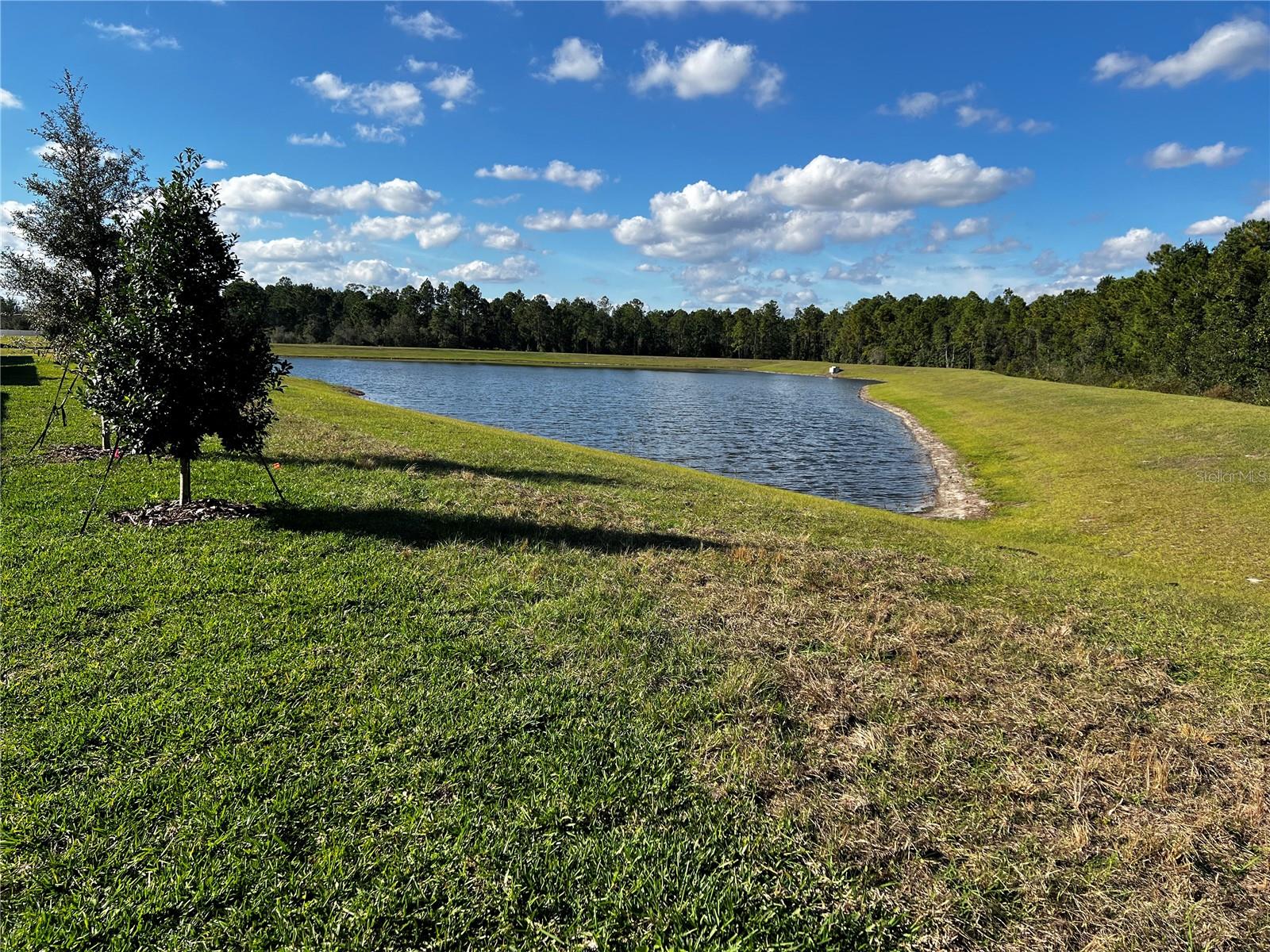 Image 6 of 44 For 12893 Harvest Rain