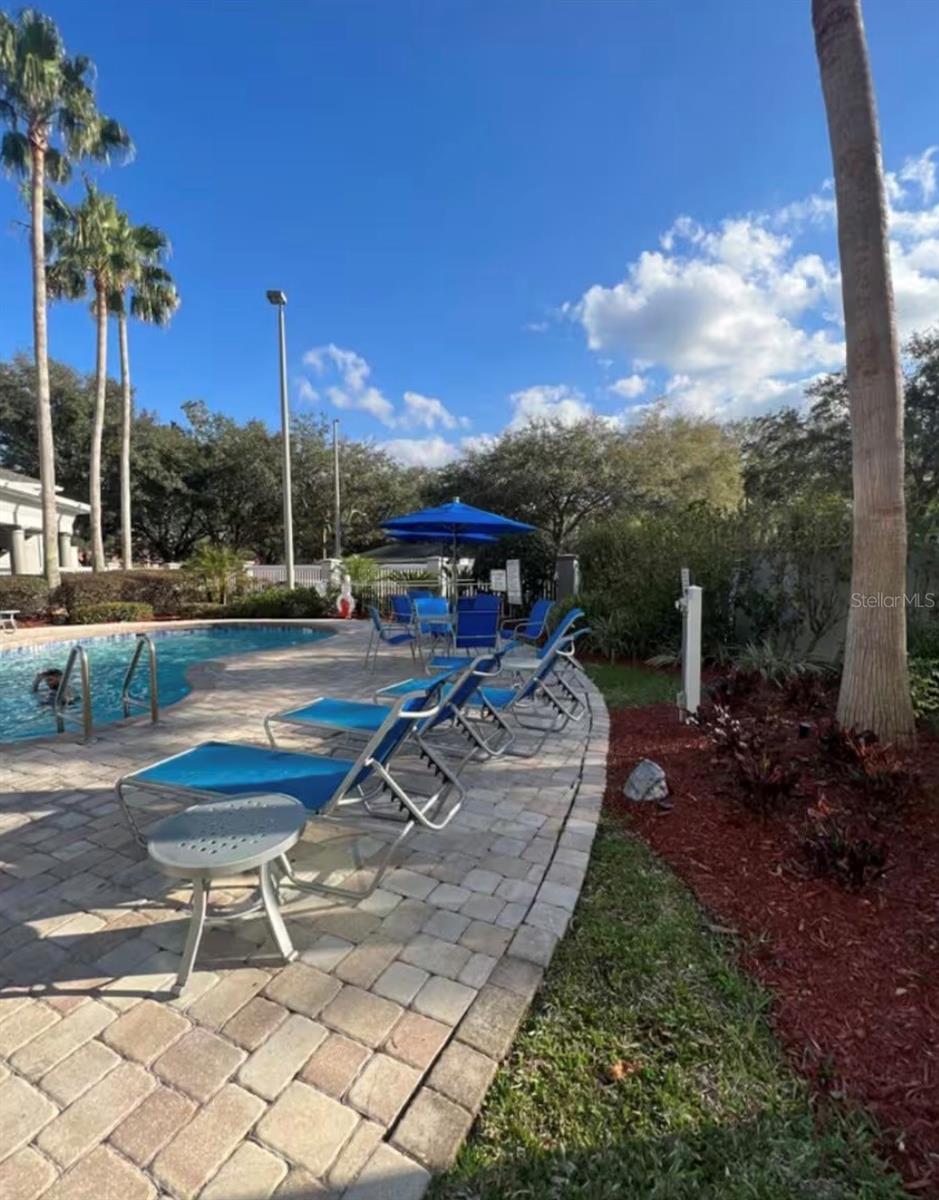 Image 13 of 14 For 8303 Palm Parkway  314