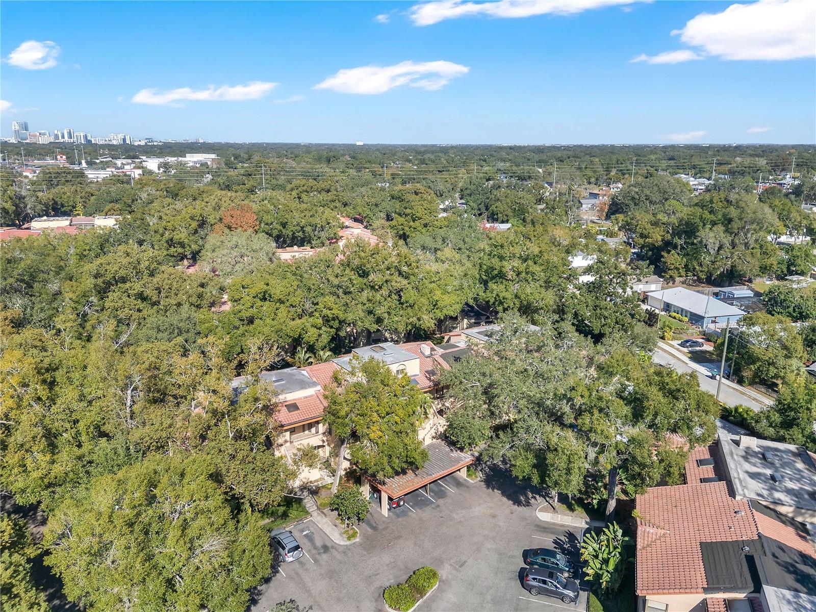 Image 29 of 40 For 1217 Salerno Court 1217