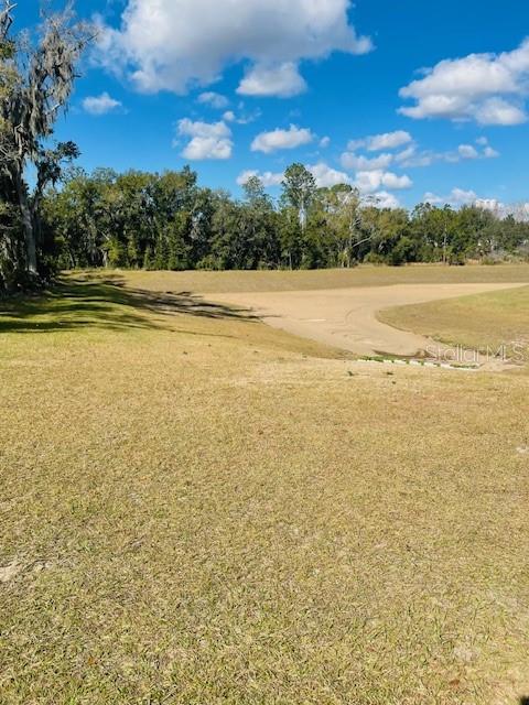 Image 73 of 74 For 2037 Shaggy Fisher Drive