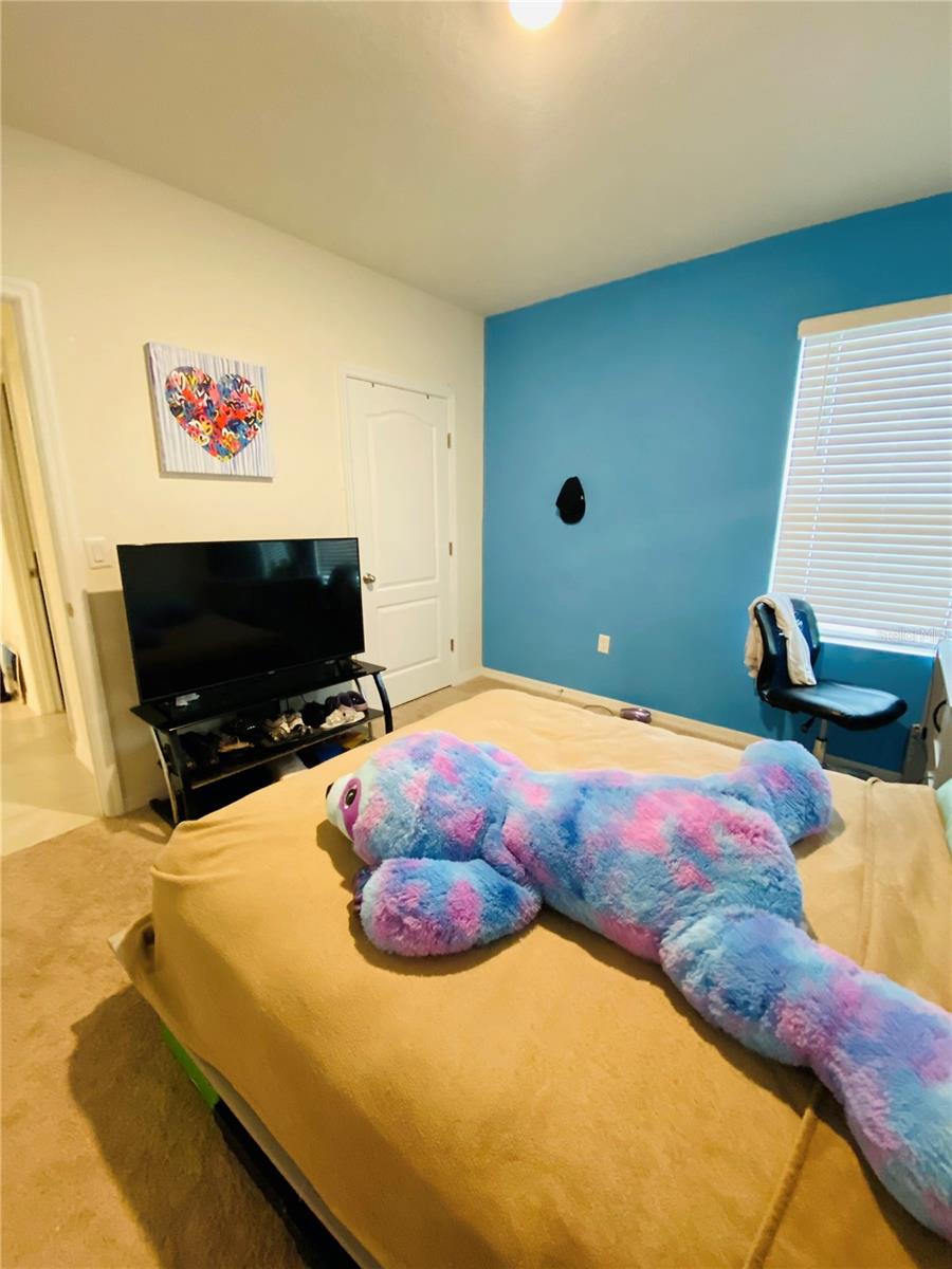 Image 6 of 21 For 3018 Royal Tern Drive