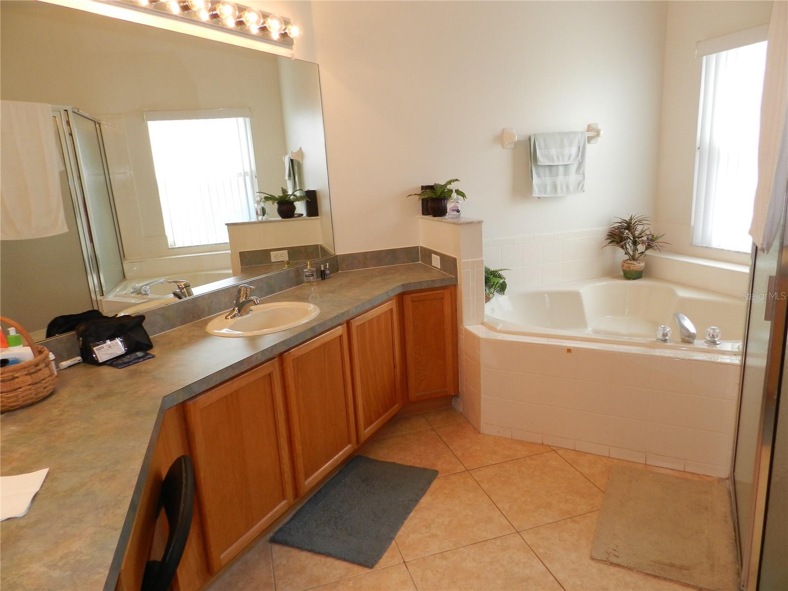 Image 47 of 55 For 2641 Meadow View Court