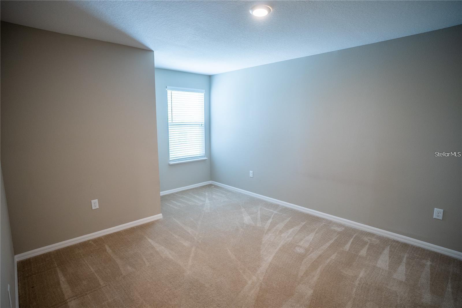 Image 16 of 30 For 131 Primrose Drive