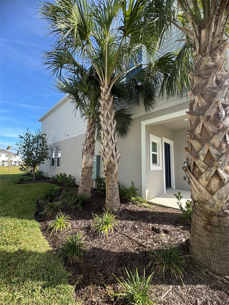 Image 3 of 42 For 3811 Sepia Street