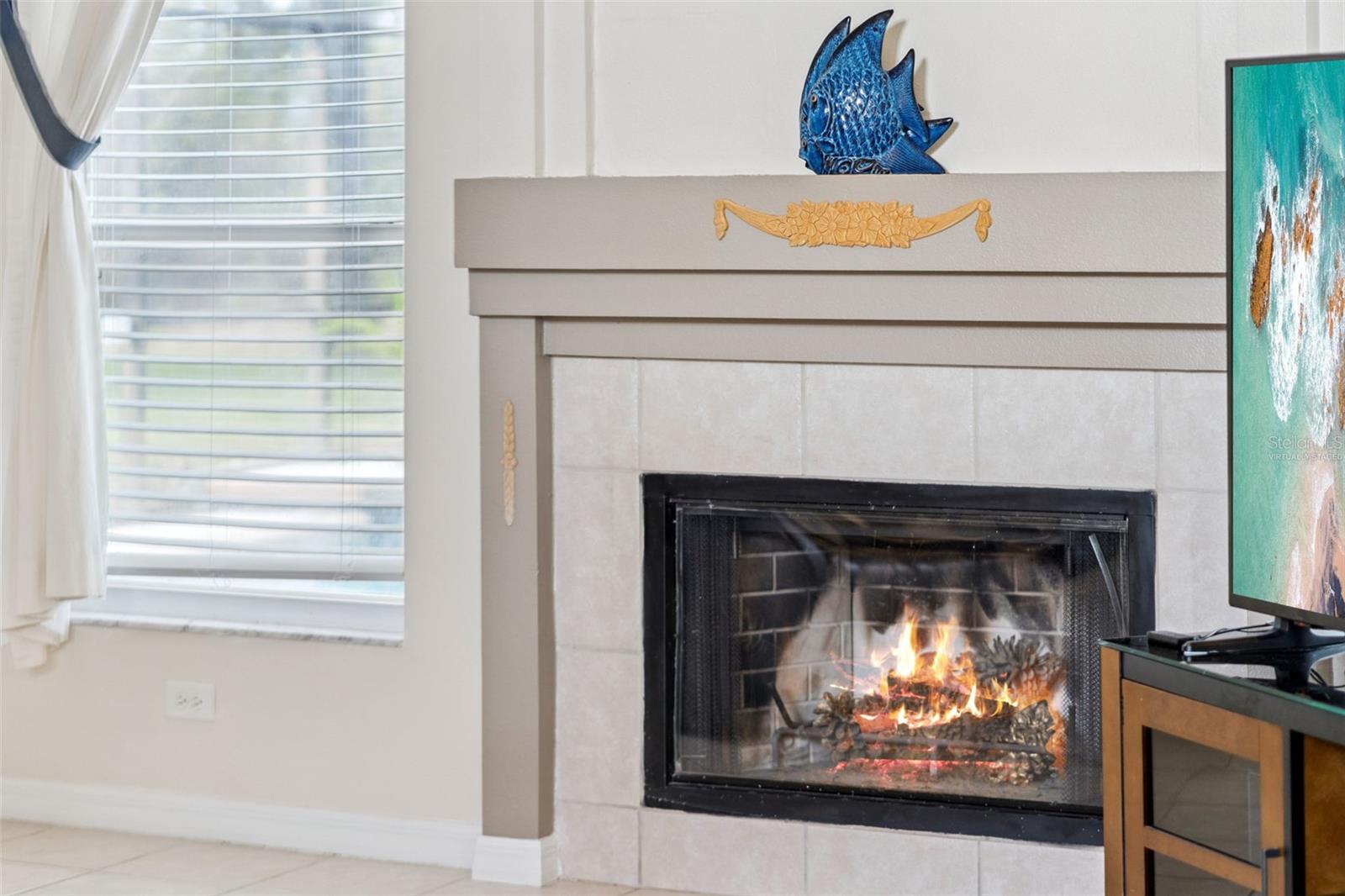 Image 18 of 54 For 154 Dornoch Street