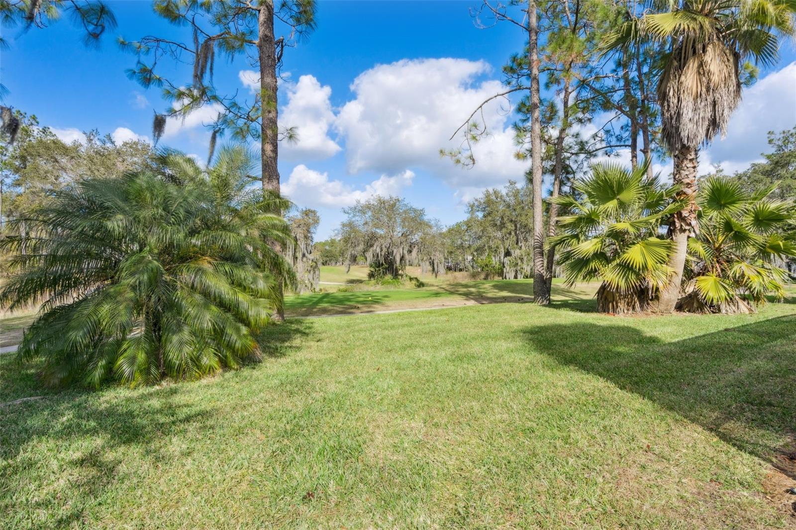 Image 42 of 54 For 154 Dornoch Street