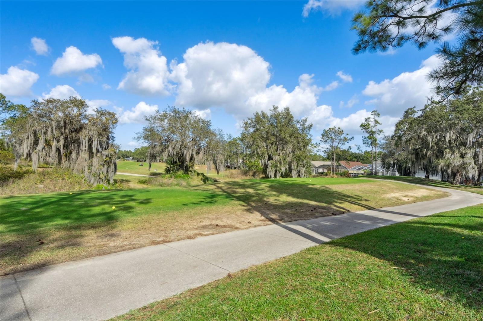 Image 43 of 54 For 154 Dornoch Street