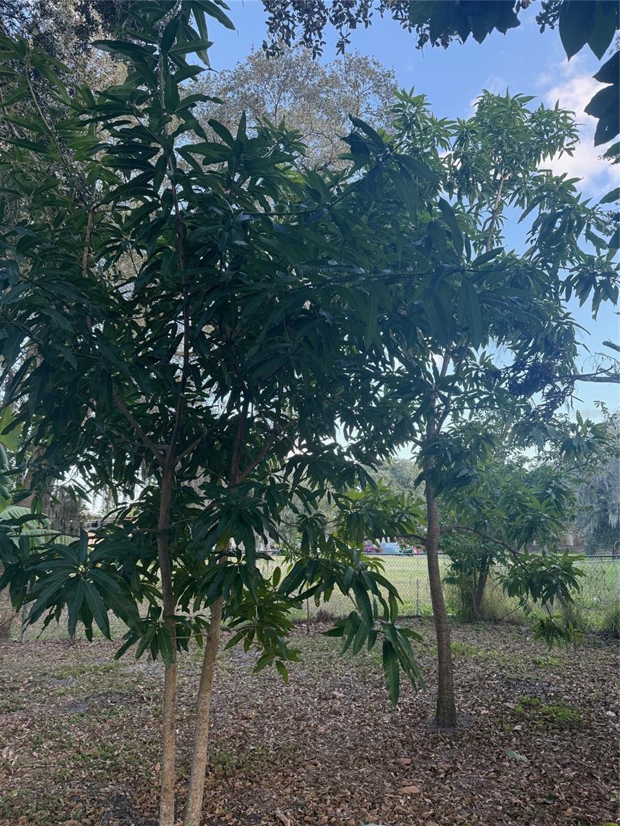 Image 13 of 14 For Address Not Provided