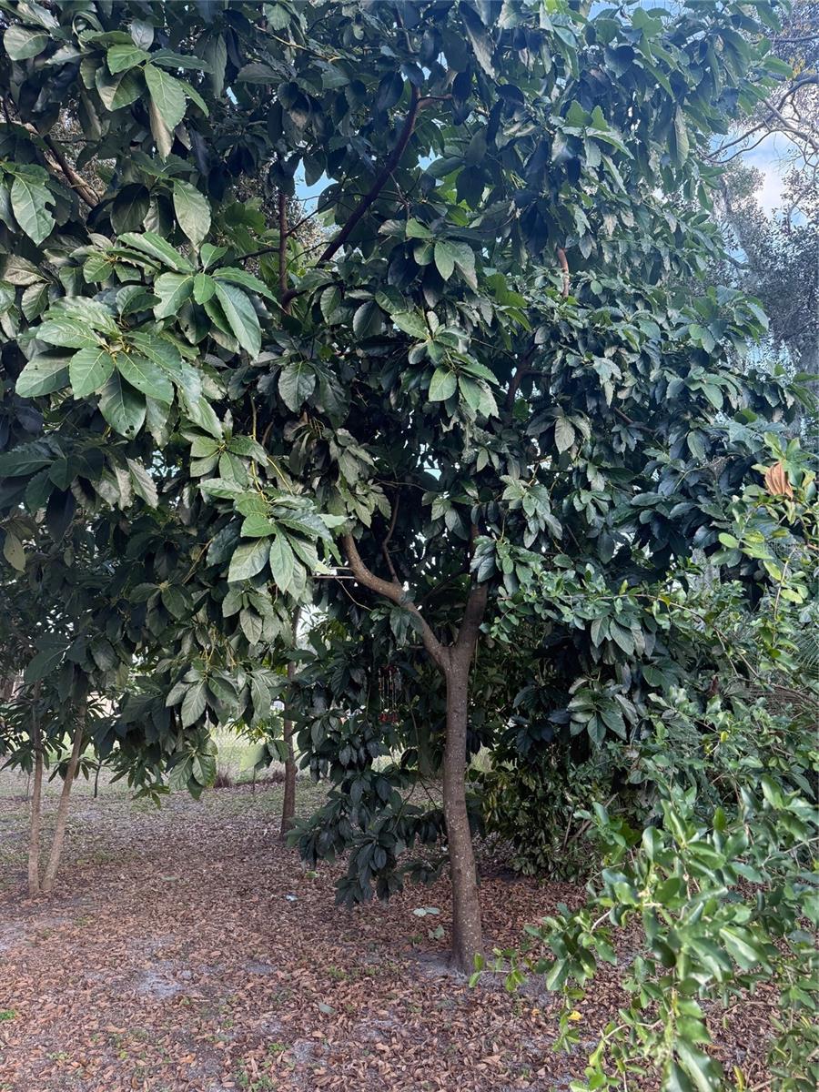 Image 14 of 14 For Address Not Provided