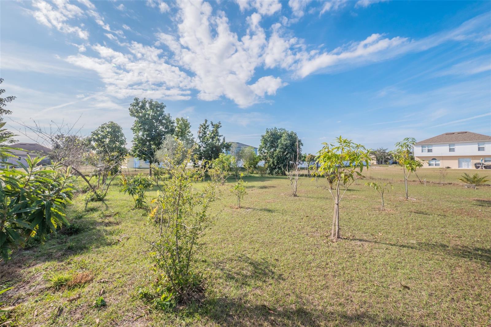 Image 41 of 41 For 193 Aurelia Court