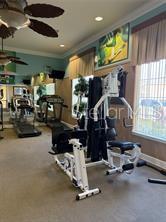 Image 35 of 63 For 163 Tiger Lily Court