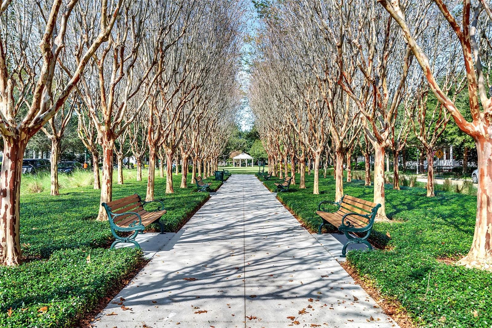 Image 99 of 99 For 928 Spring Park Loop