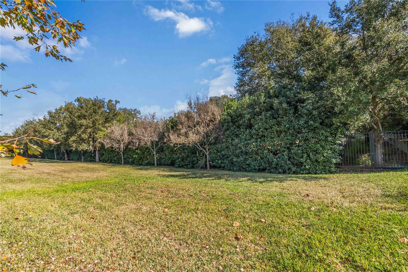Image 41 of 57 For 2463 Datura Loop