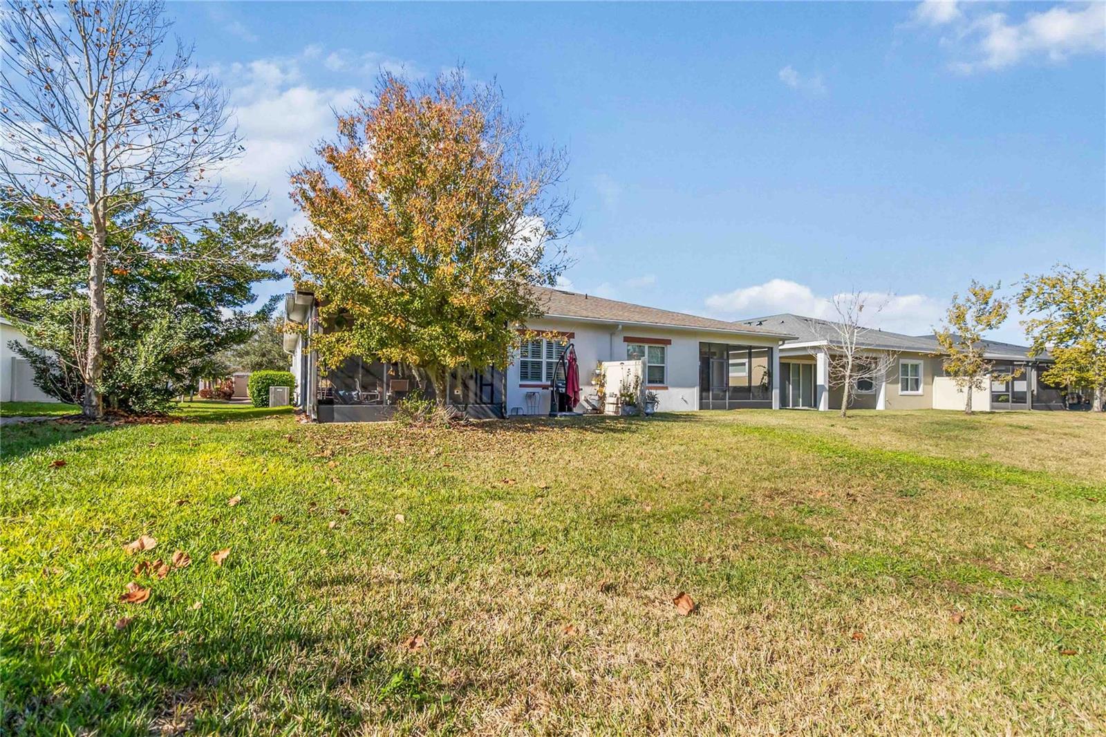 Image 42 of 57 For 2463 Datura Loop