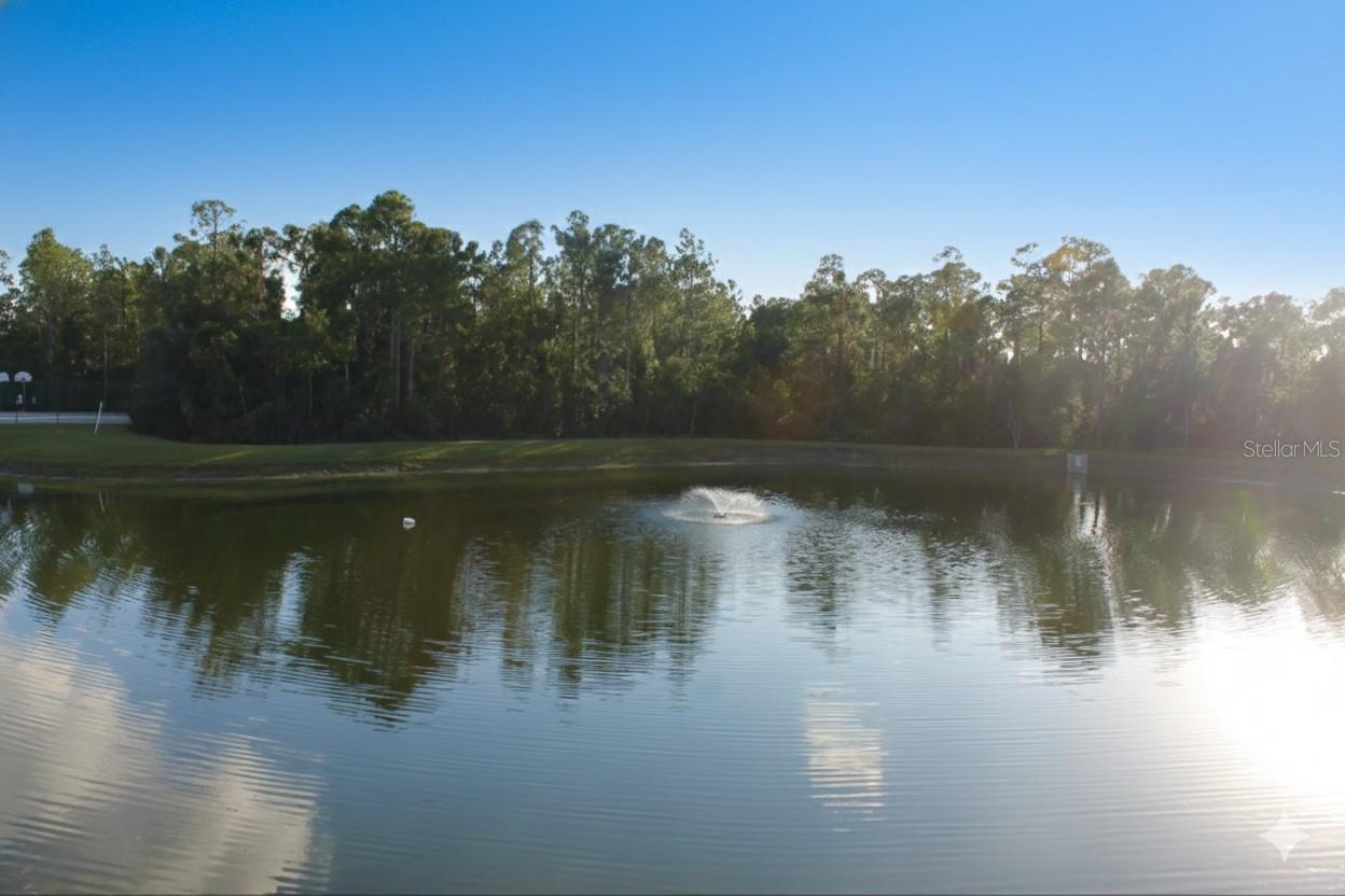 Image 26 of 27 For 1352 Coriander Drive